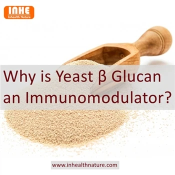 Poukisa Glukan ledven se yon Immunomodulator?