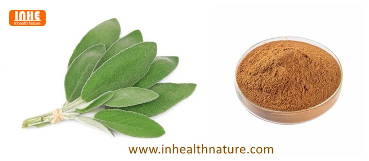 Sage Leaf and its Extract Powder