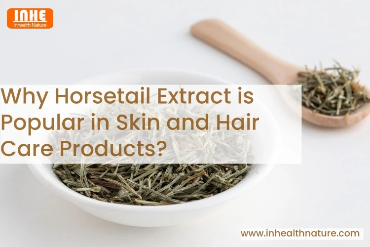 Why Horsetail Extract is Popular in Skin and Hair Care Products Why Horsetail Extract is Popular in Skin and Hair Care Products