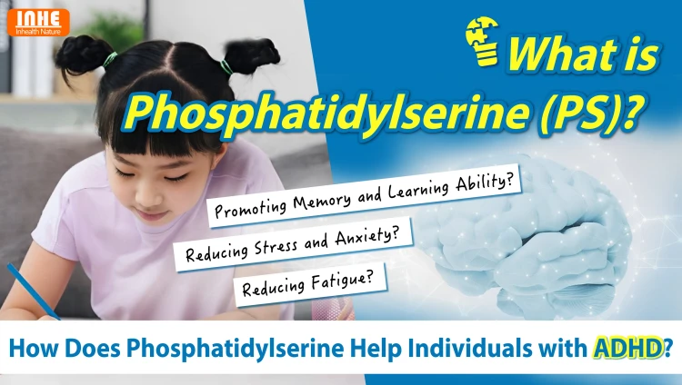 How Does Phosphatidylserine Powder Help ADHD How Does Phosphatidylserine Powder Help ADHD