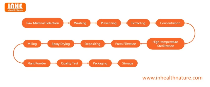 Plant Powder Flow Chart